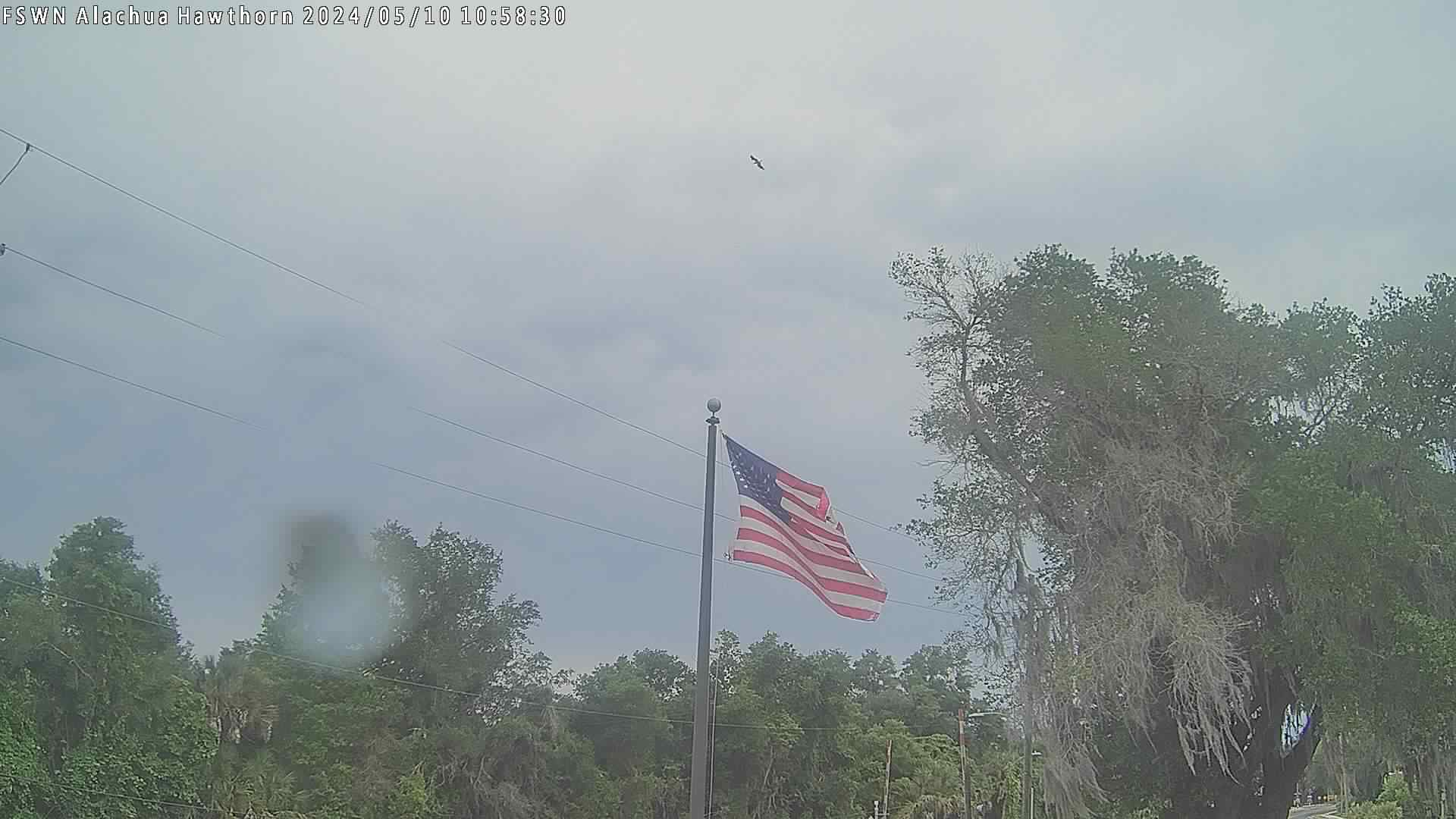  WeatherSTEM Cloud Camera FSWNHawthorne in Alachua County, Florida FL at FSWN Alachua Hawthorne