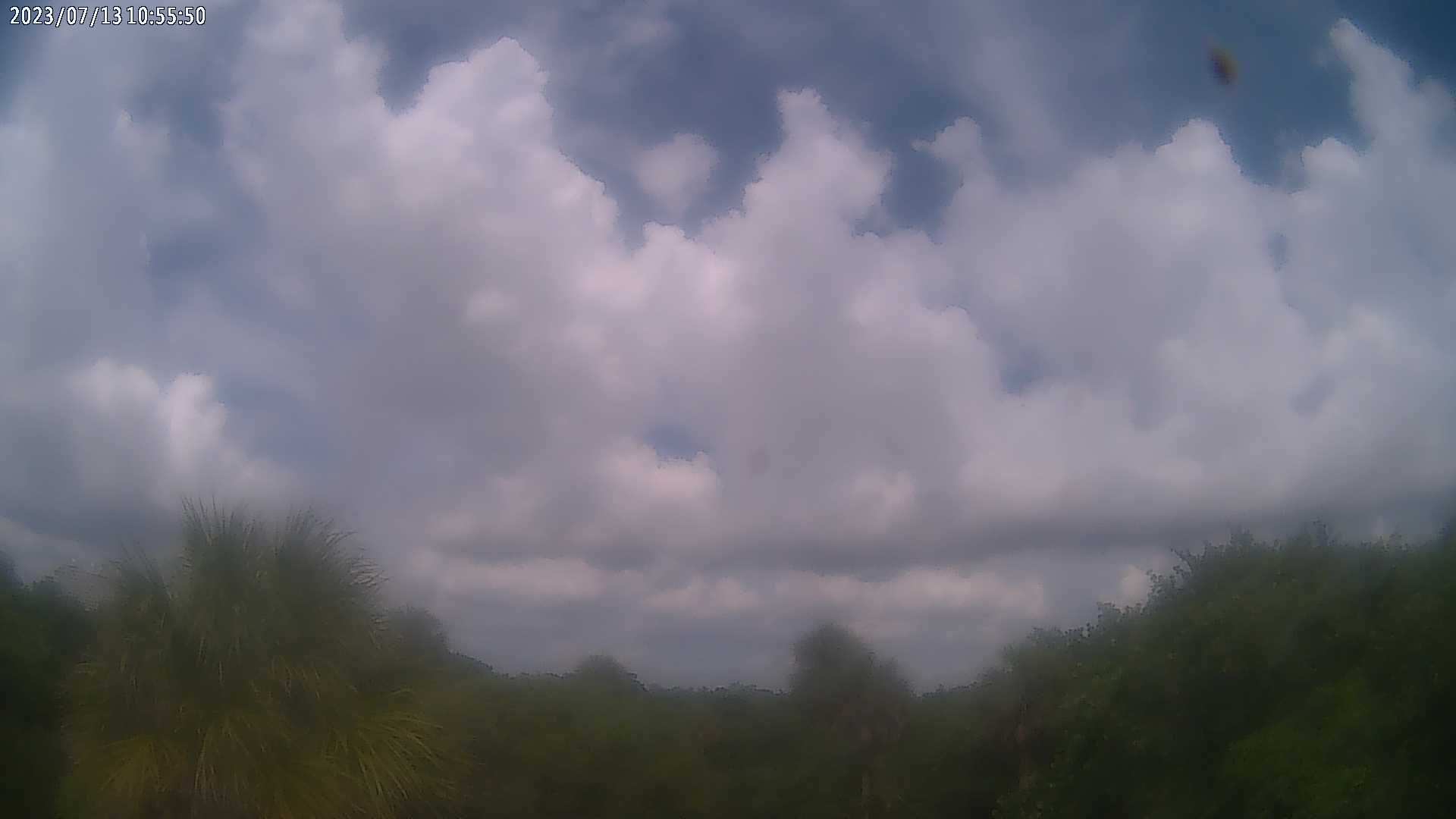 WeatherSTEM Cloud Camera HughTaylorWx in Broward County, Florida FL at HT Birch State Park