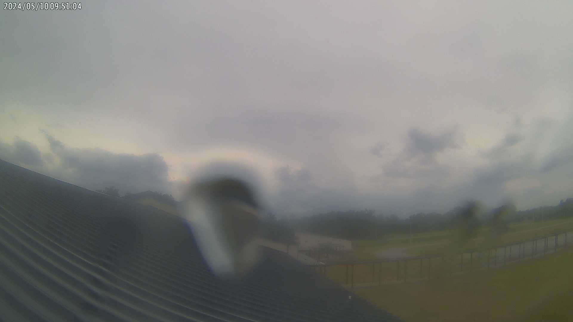 WeatherSTEM Cloud Camera LCEMWillistonWx in Levy County, Florida FL at LCEM Williston Middle High School